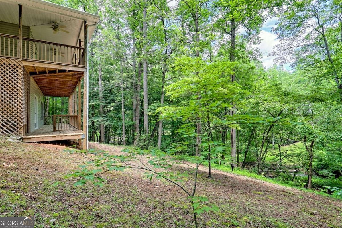 215 Souther Meadow Drive Blairsville - 43
