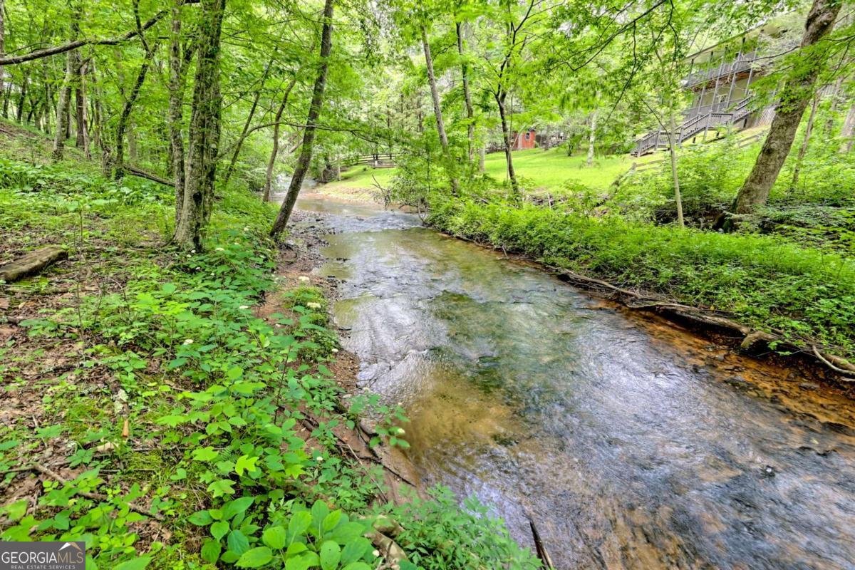 215 Souther Meadow Drive Blairsville - 50