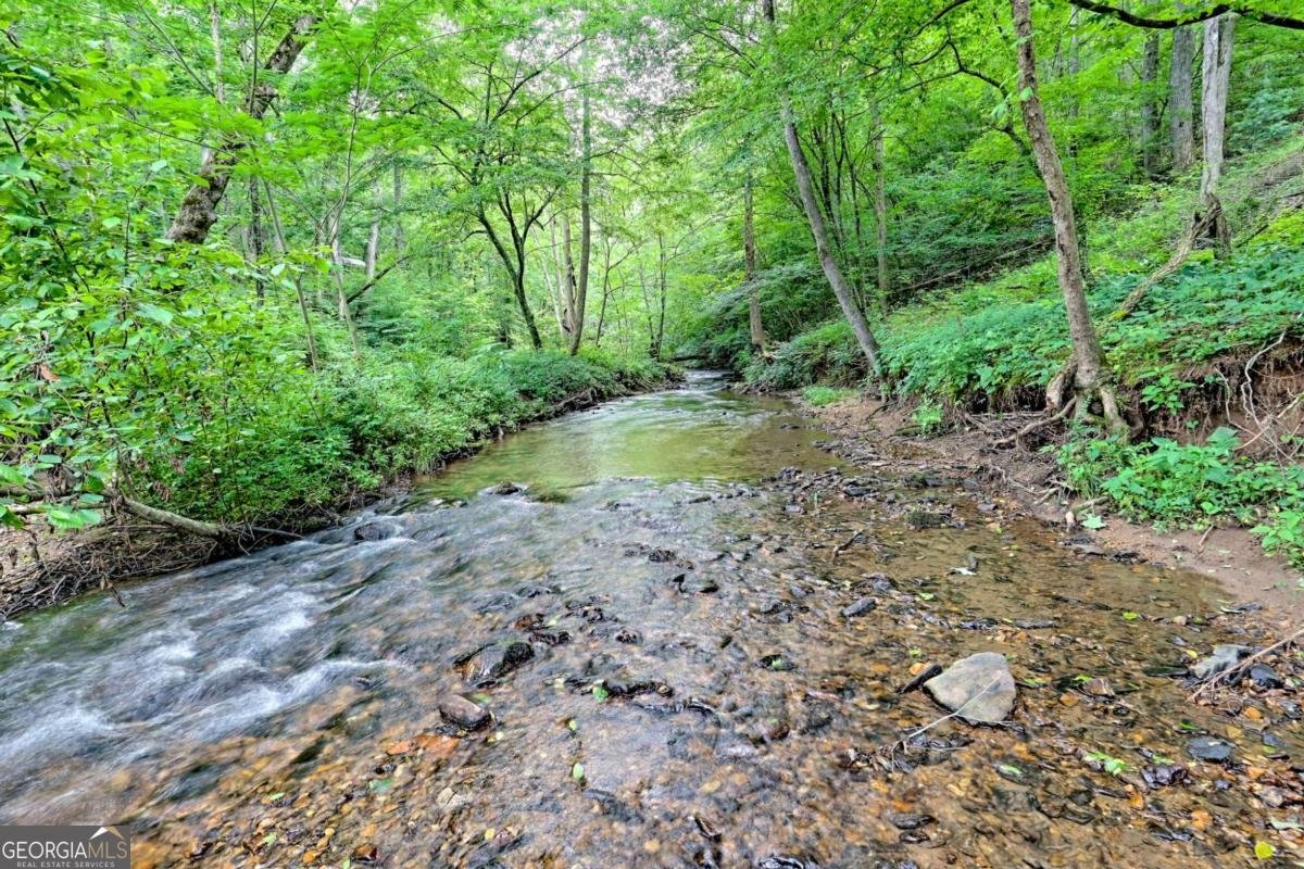 215 Souther Meadow Drive Blairsville - 52