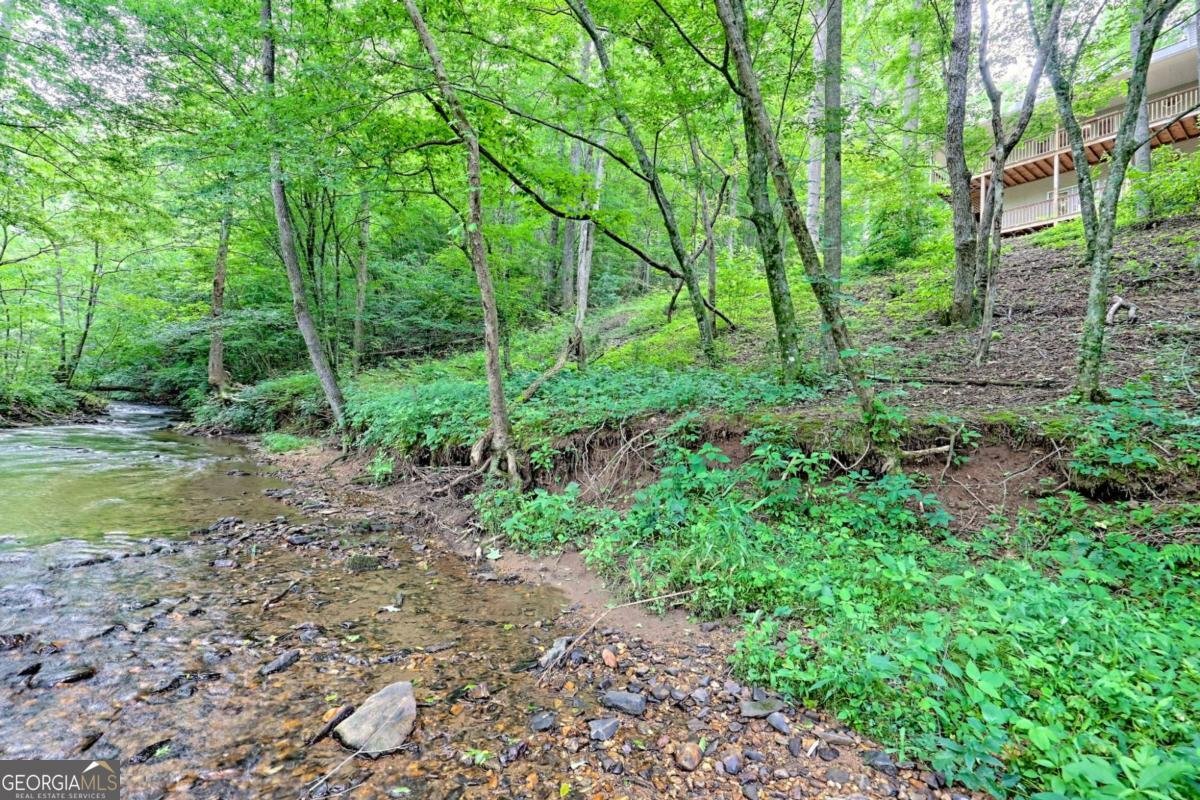 215 Souther Meadow Drive Blairsville - 53