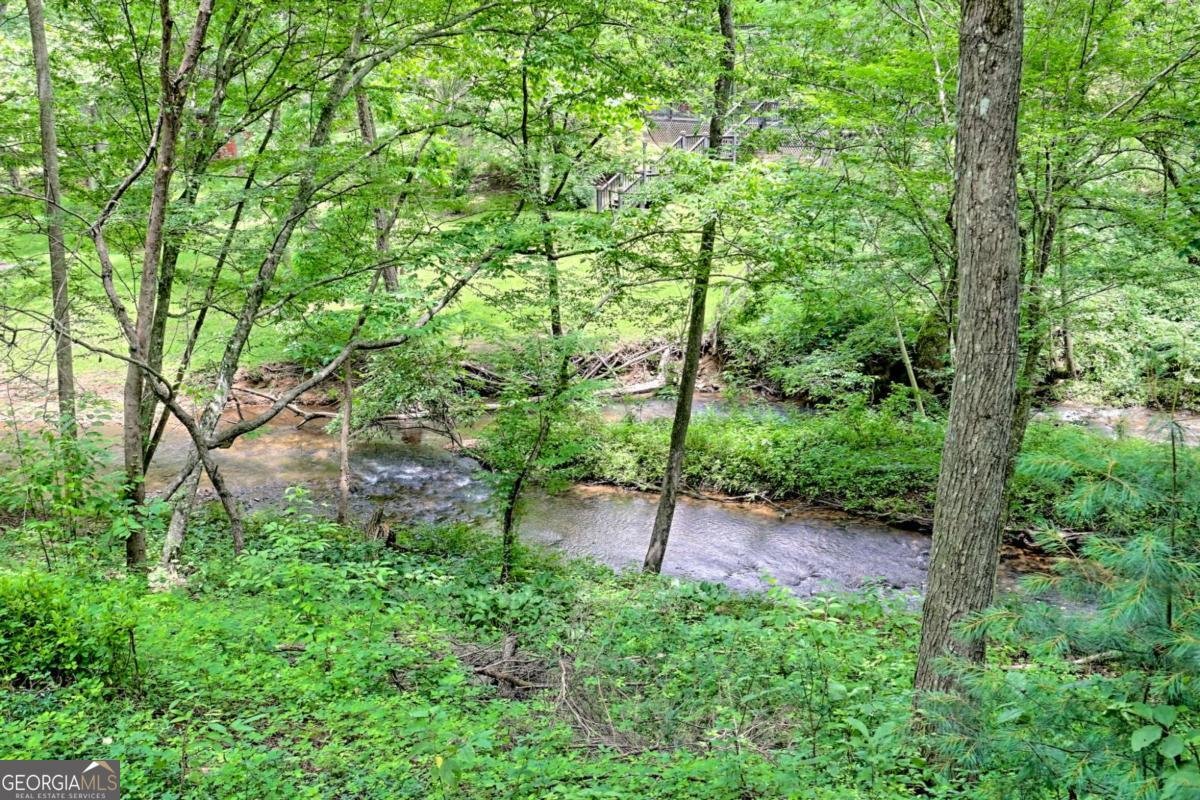 215 Souther Meadow Drive Blairsville - 74