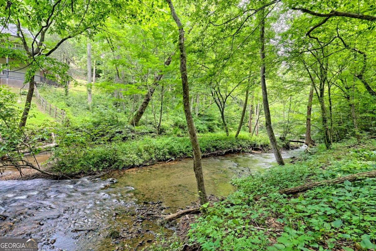 215 Souther Meadow Drive Blairsville - 77