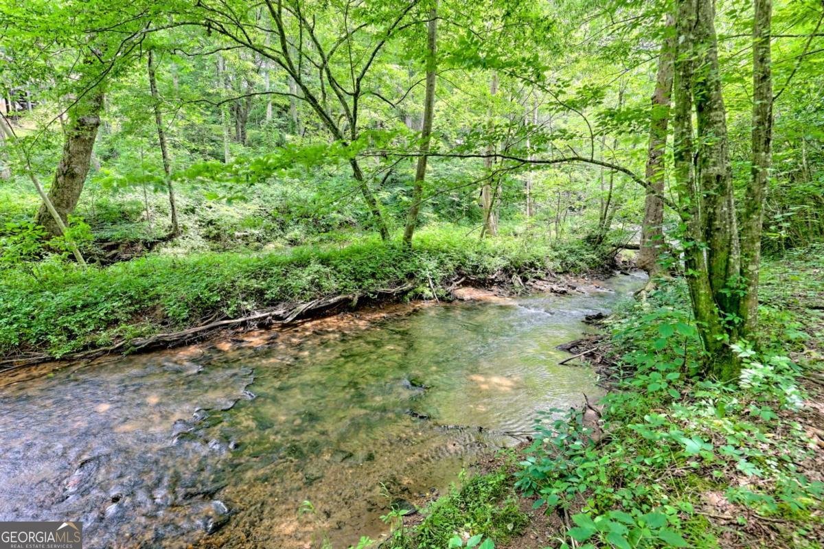 215 Souther Meadow Drive Blairsville - 78