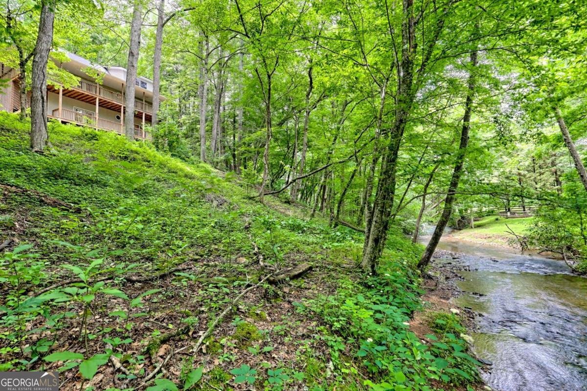 215 Souther Meadow Drive Blairsville - 79