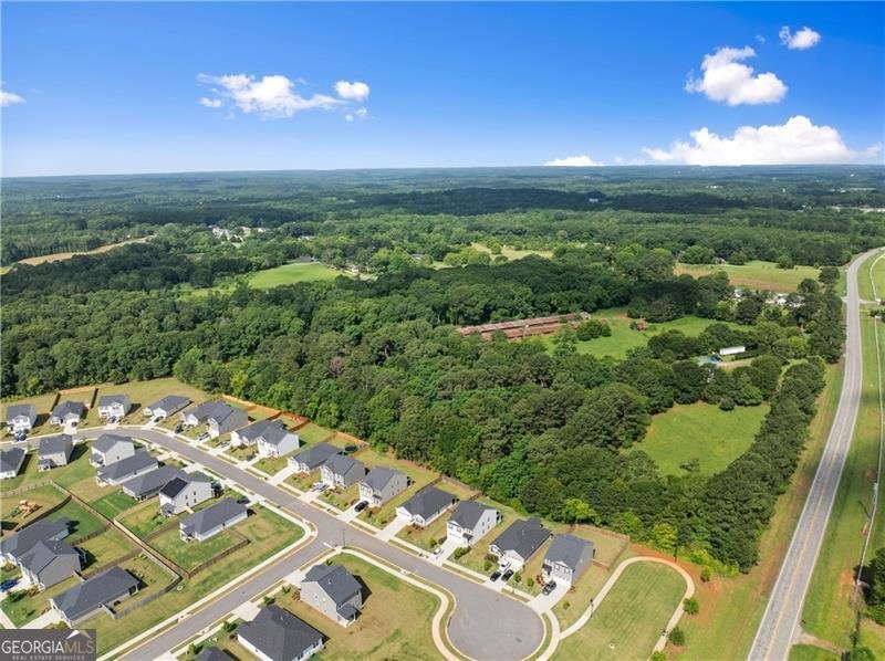 1278 Daurian Drive Statham - 40