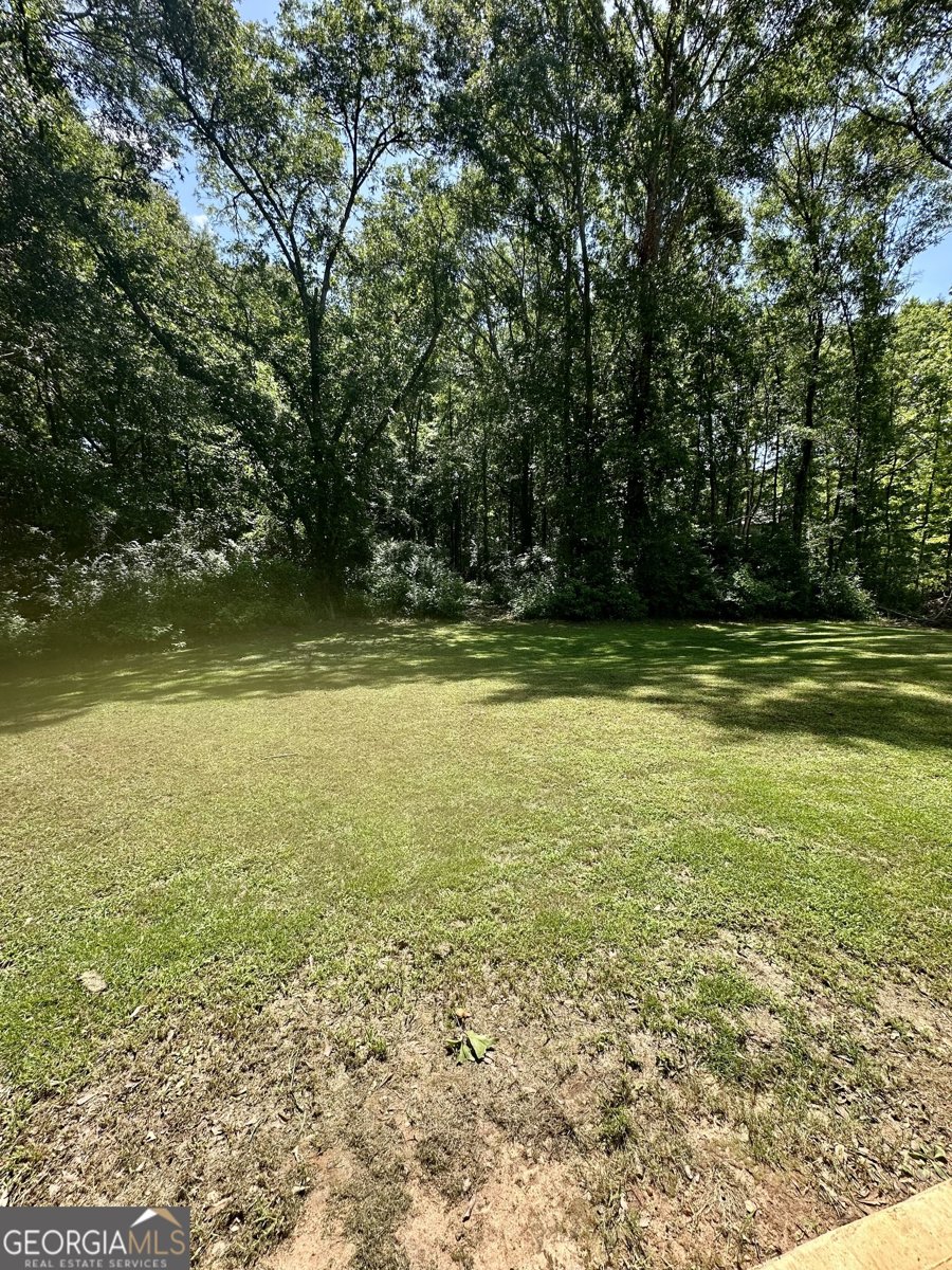 2495 Barnesville Road Griffin - 26