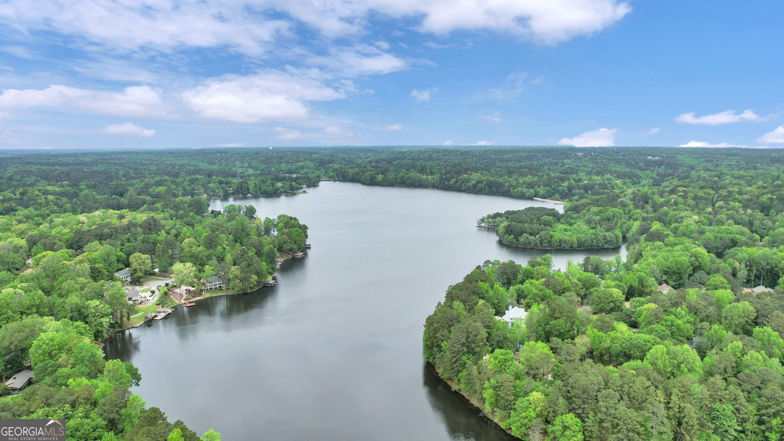 439 Blue Smoke Trail Peachtree City - 54