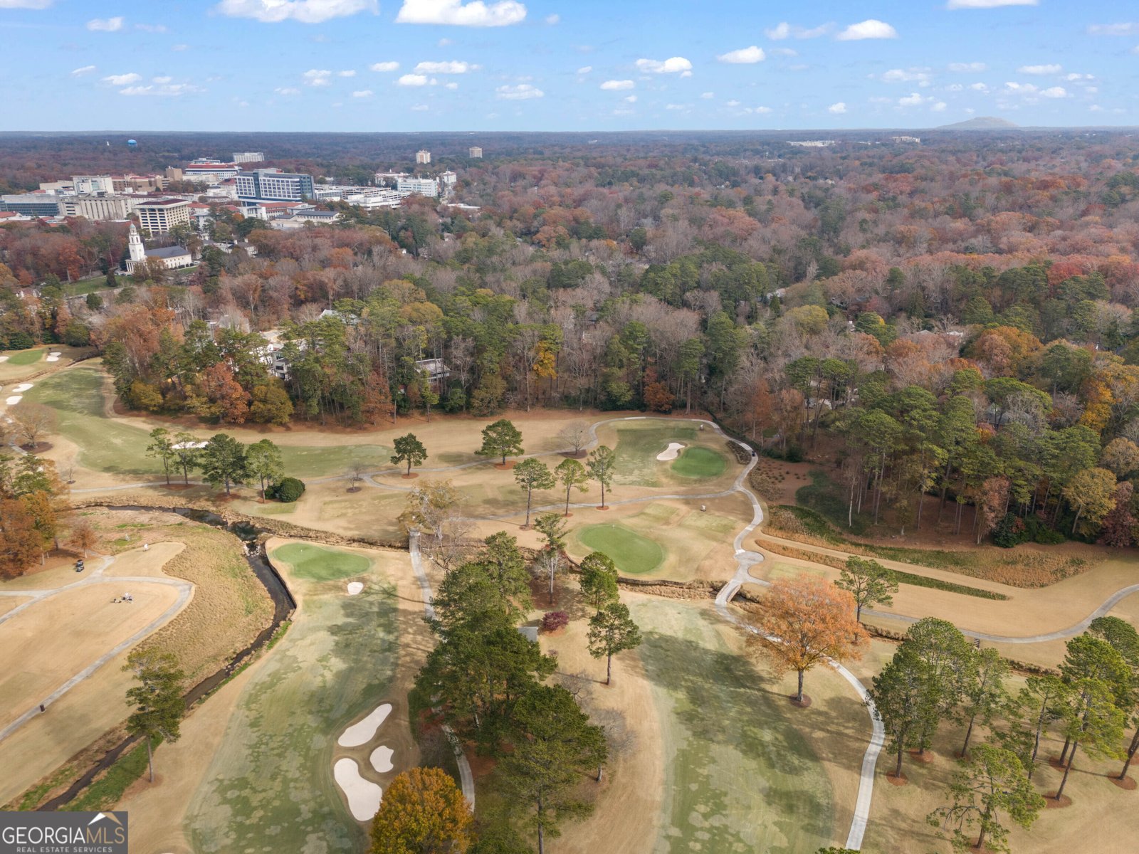 1080 Clifton Road Atlanta - 4