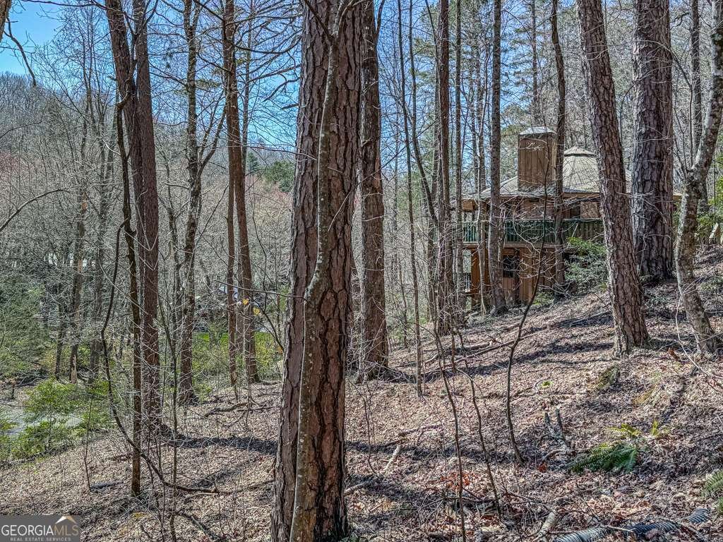 230 Tanglewood Drive Blue Ridge - 29