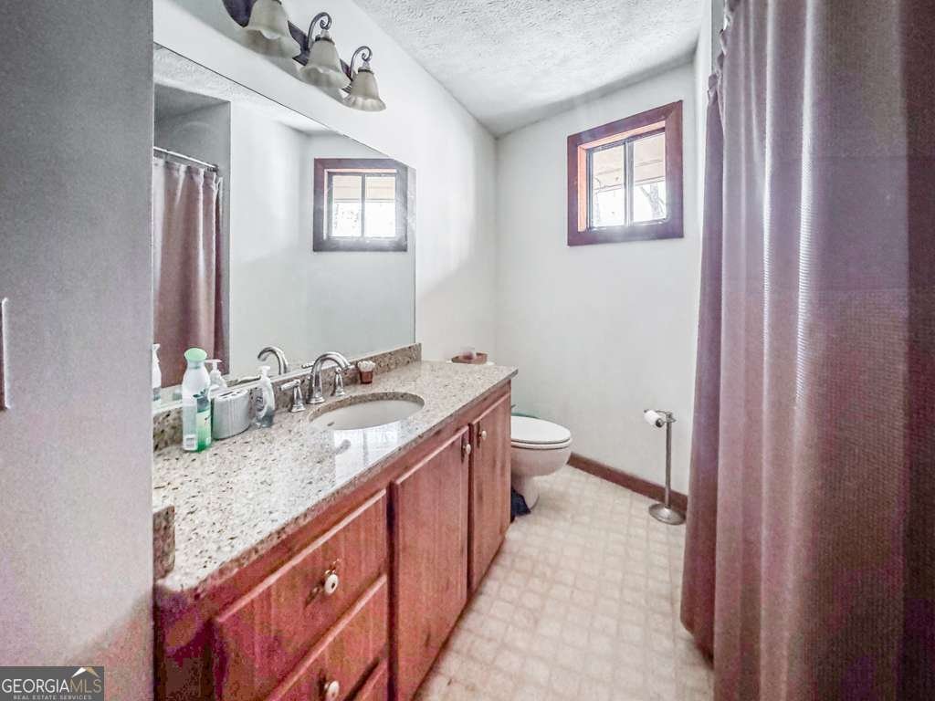 230 Tanglewood Drive Blue Ridge - 5