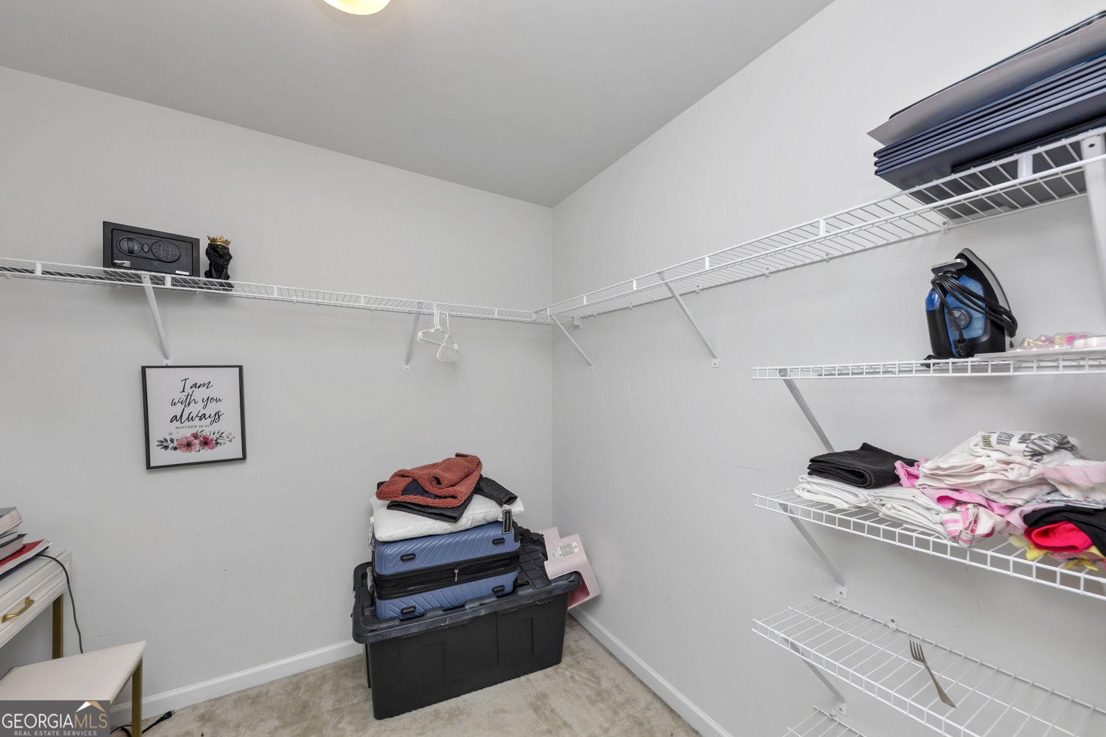 109 PAULOWNIA Circle McDonough - 19