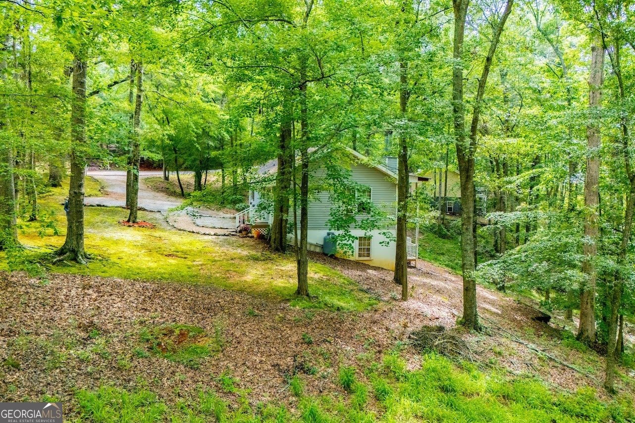 573 Poplar Place Drive Wedowee - 1