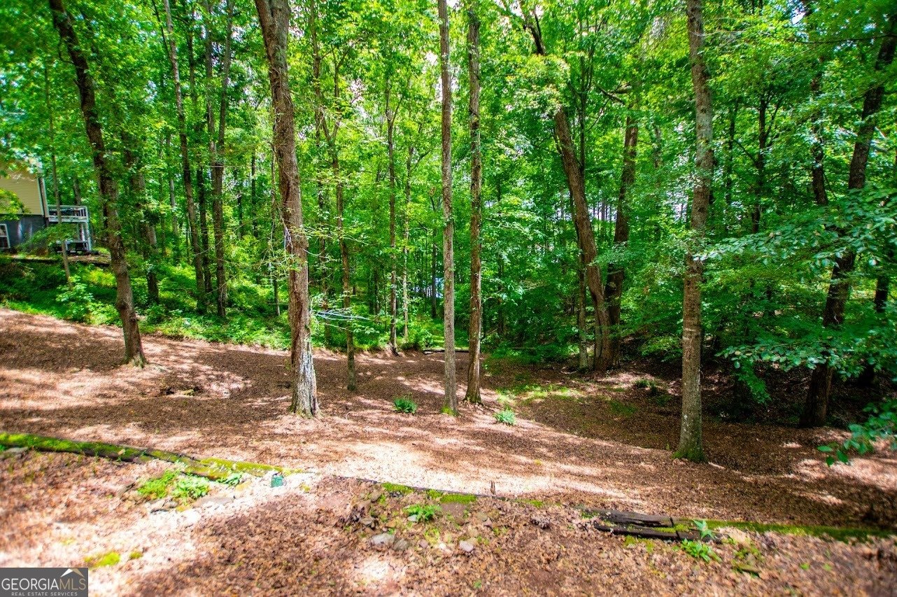 573 Poplar Place Drive Wedowee - 18