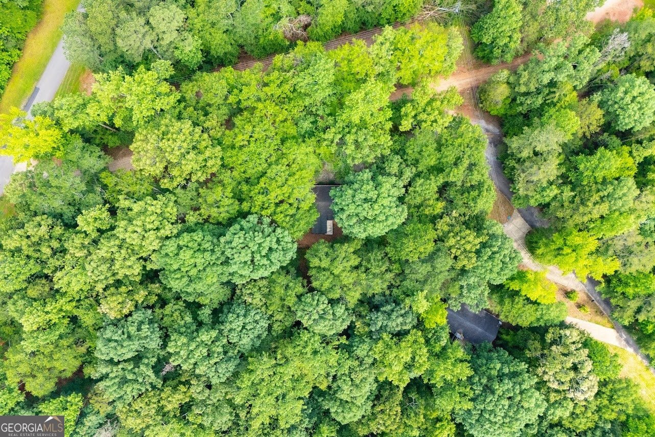 573 Poplar Place Drive Wedowee - 45