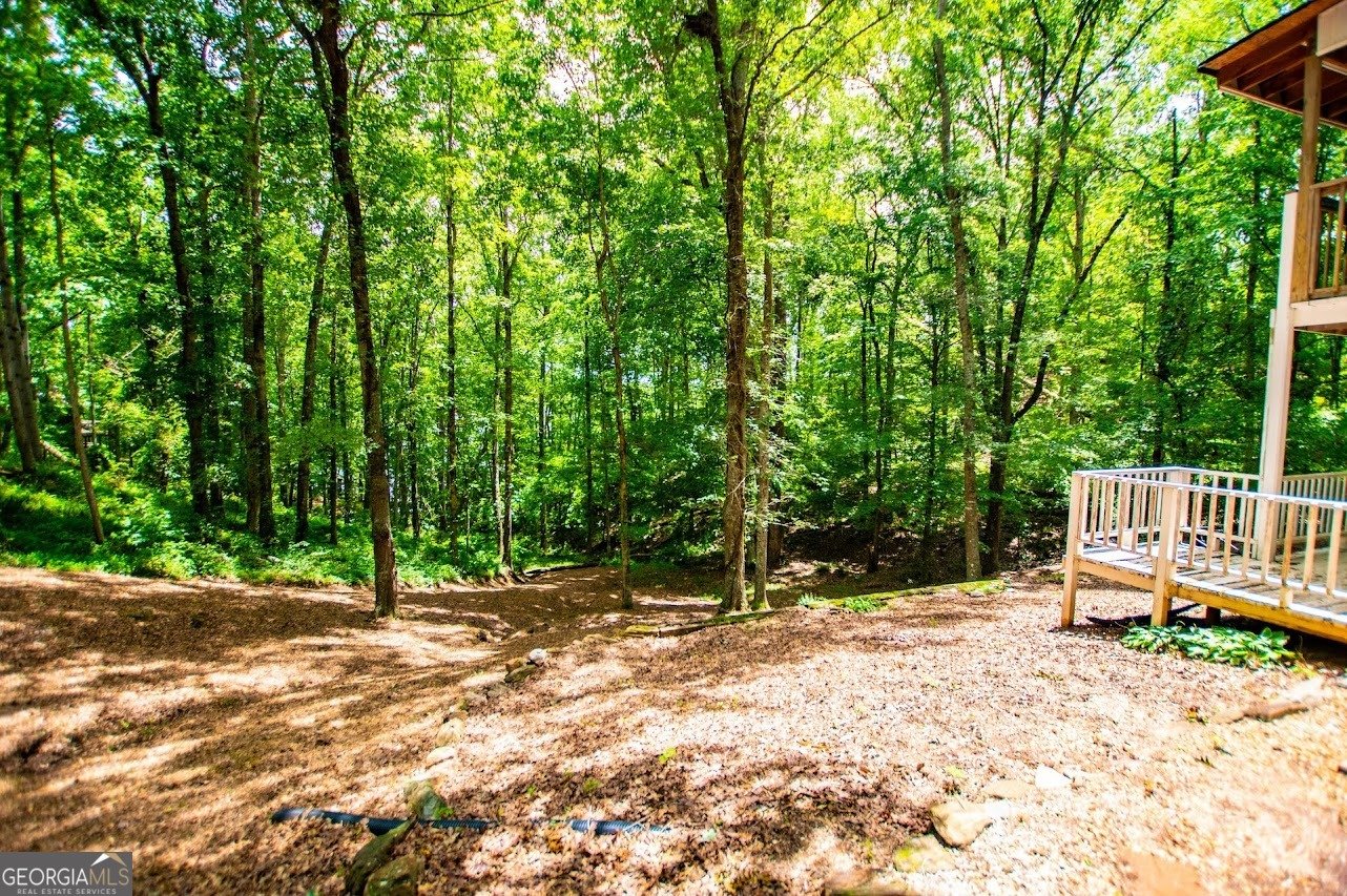 573 Poplar Place Drive Wedowee - 77