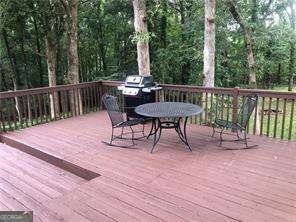 224 Hawkins Farm Circle Ball Ground - 28