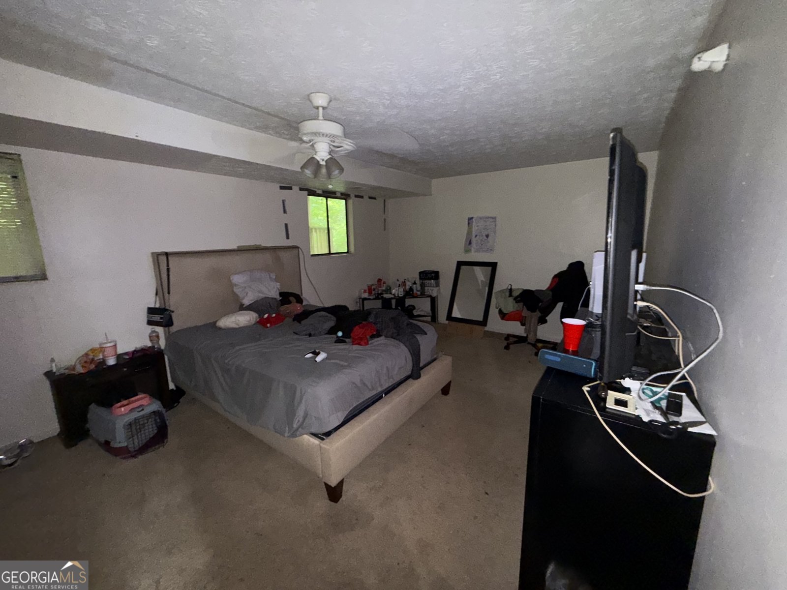 6884 Red Maple Court Rex - 3