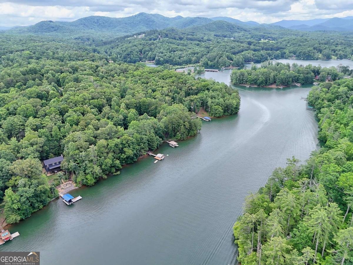 402 Holly Hill Drive Blairsville - 4