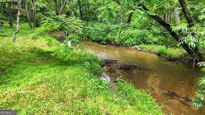 1905 Bell Eagle Drive Hiawassee - 10