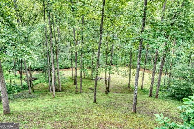 1905 Bell Eagle Drive Hiawassee - 51