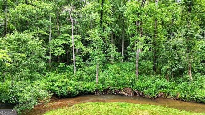 1905 Bell Eagle Drive Hiawassee - 61