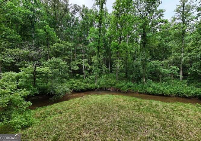 1905 Bell Eagle Drive Hiawassee - 62