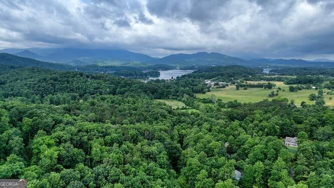 1905 Bell Eagle Drive Hiawassee - 65