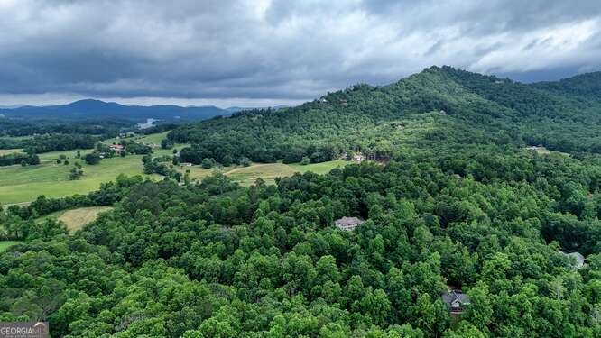 1905 Bell Eagle Drive Hiawassee - 66