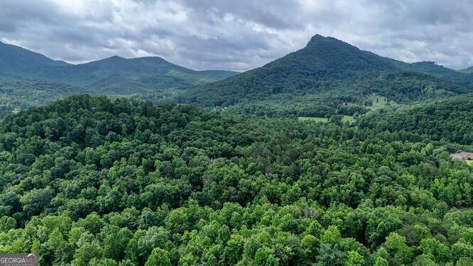 1905 Bell Eagle Drive Hiawassee - 67
