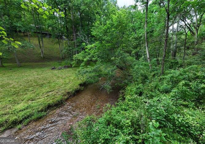 1905 Bell Eagle Drive Hiawassee - 9