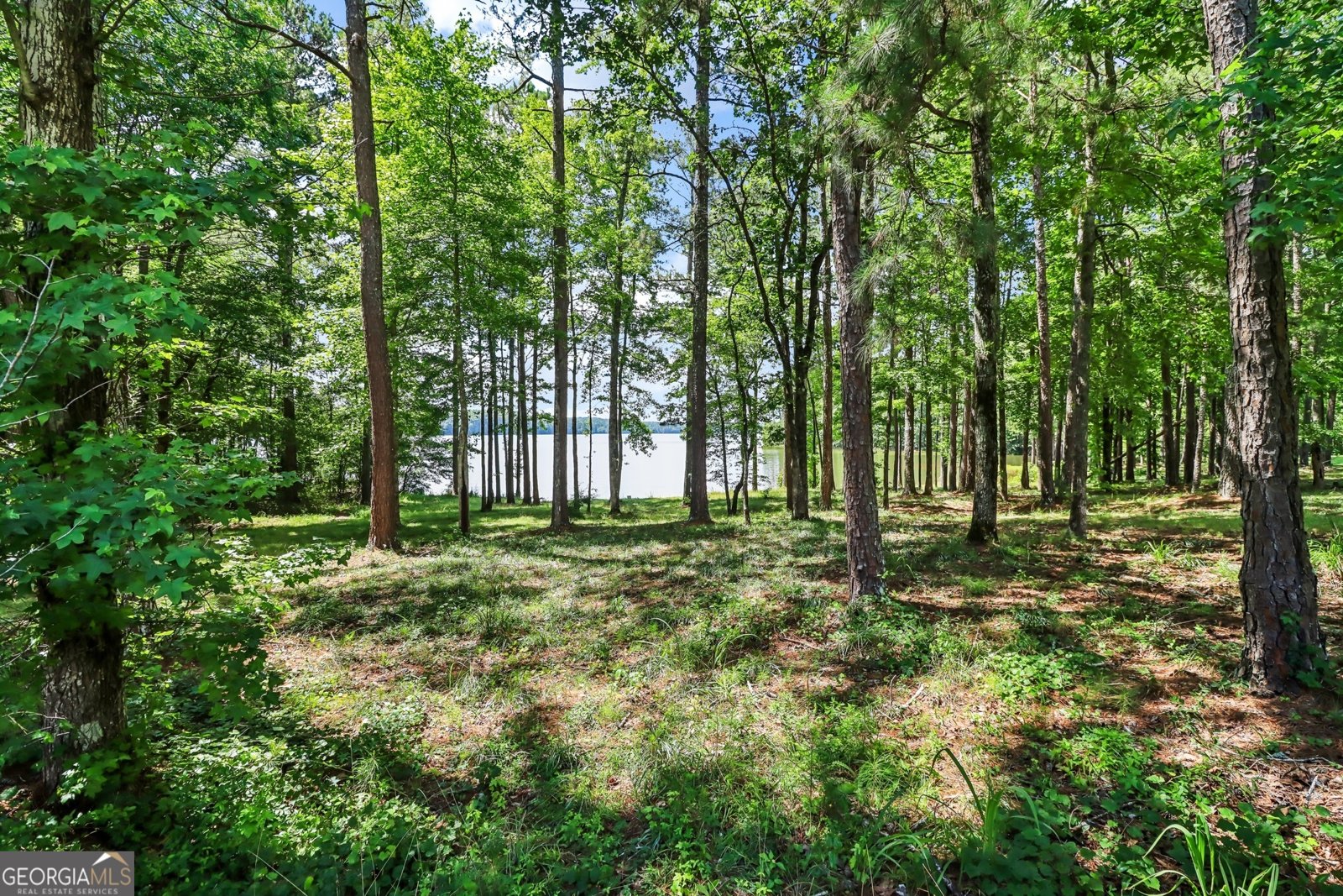 1213 Grande View Loganville - 4