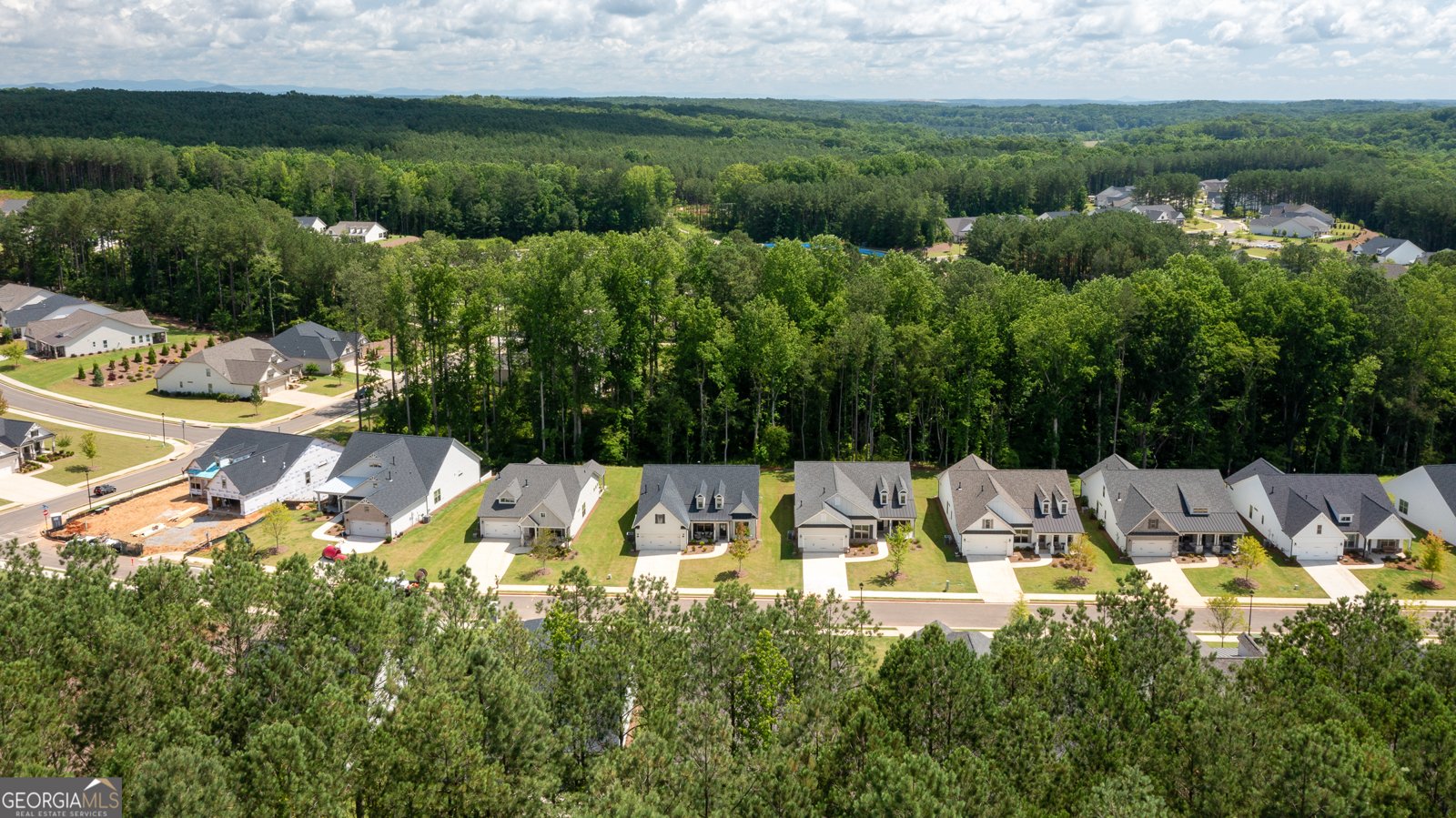 313 Sobeck Way Canton - 37