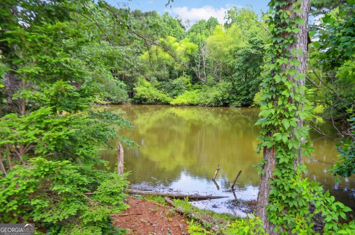 2530 Shumard Oak Drive Braselton - 11