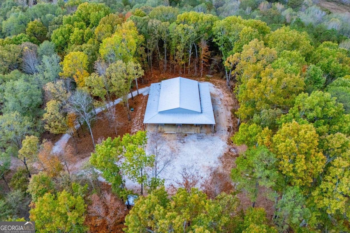 2125 Mccollum Church Road Lineville - 65