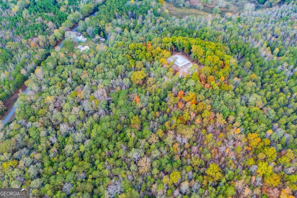 2125 Mccollum Church Road Lineville - 66