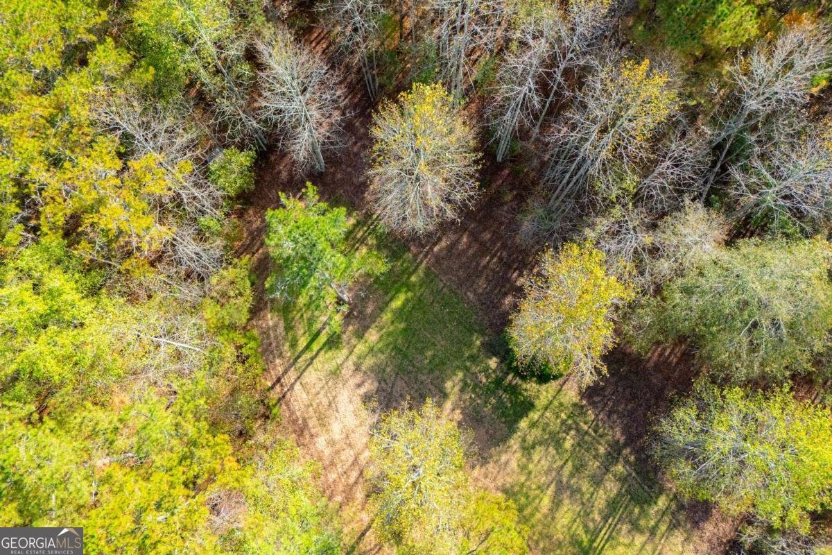 2125 Mccollum Church Road Lineville - 76