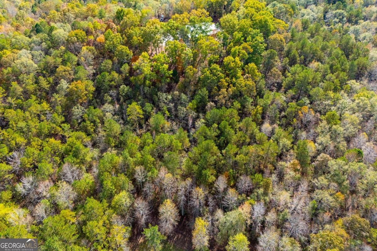 2125 Mccollum Church Road Lineville - 77