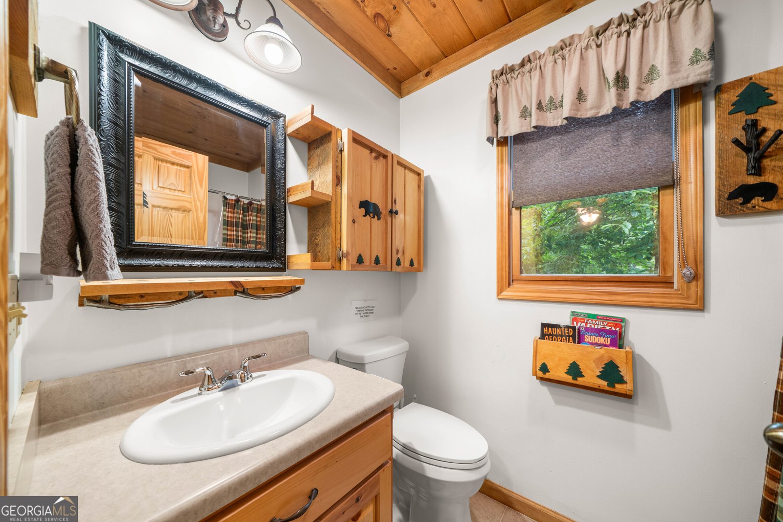 1175 Nexus Drive Ellijay - 24