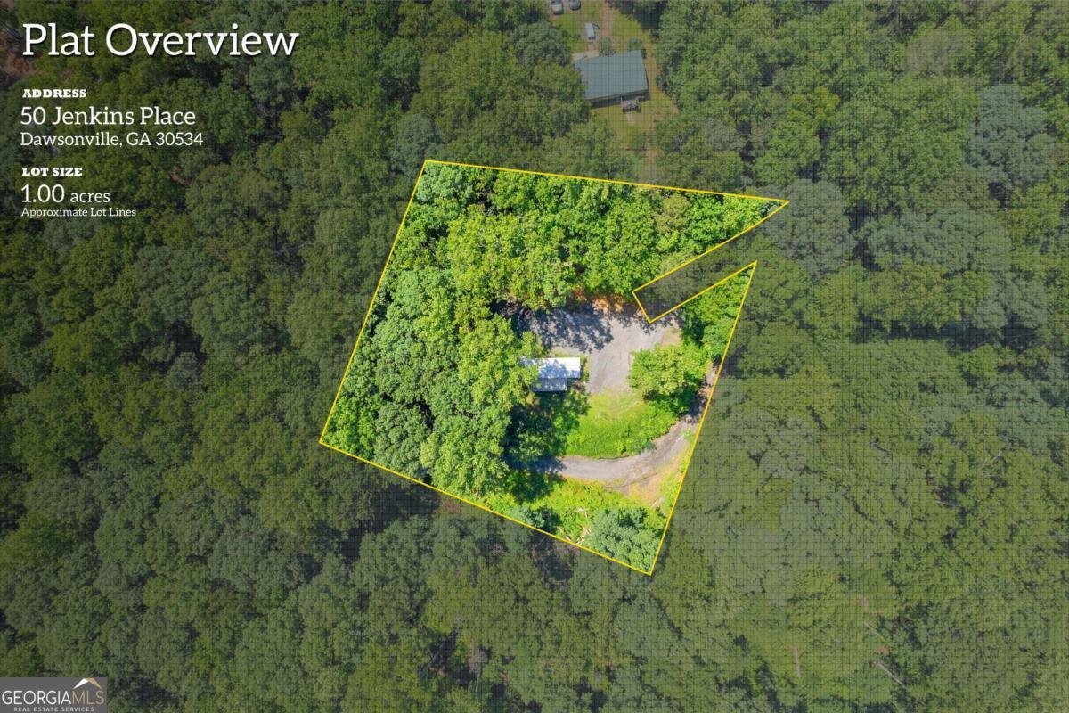 50 Jenkins Place Dawsonville - 1