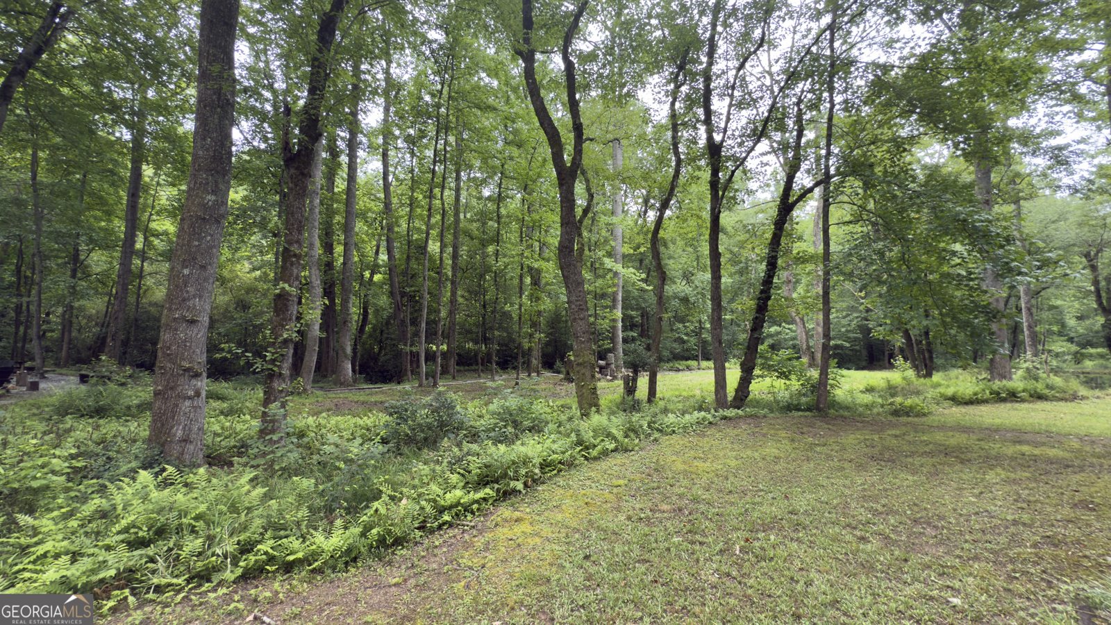 132 Wild Horse Cove Circle Cleveland - 51