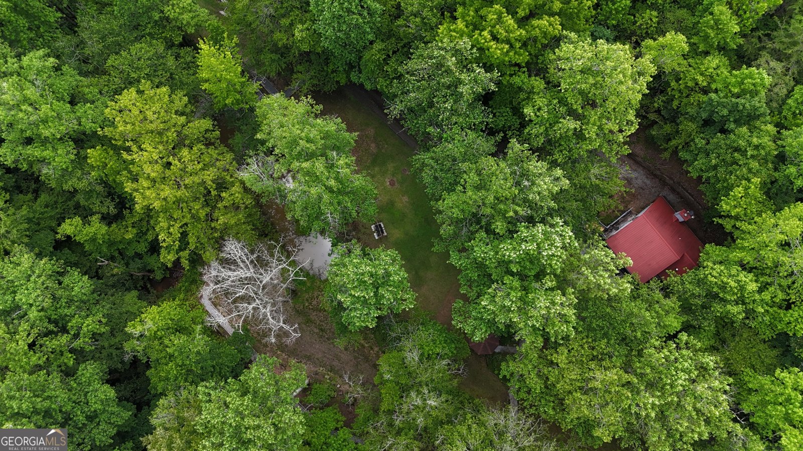 132 Wild Horse Cove Circle Cleveland - 63