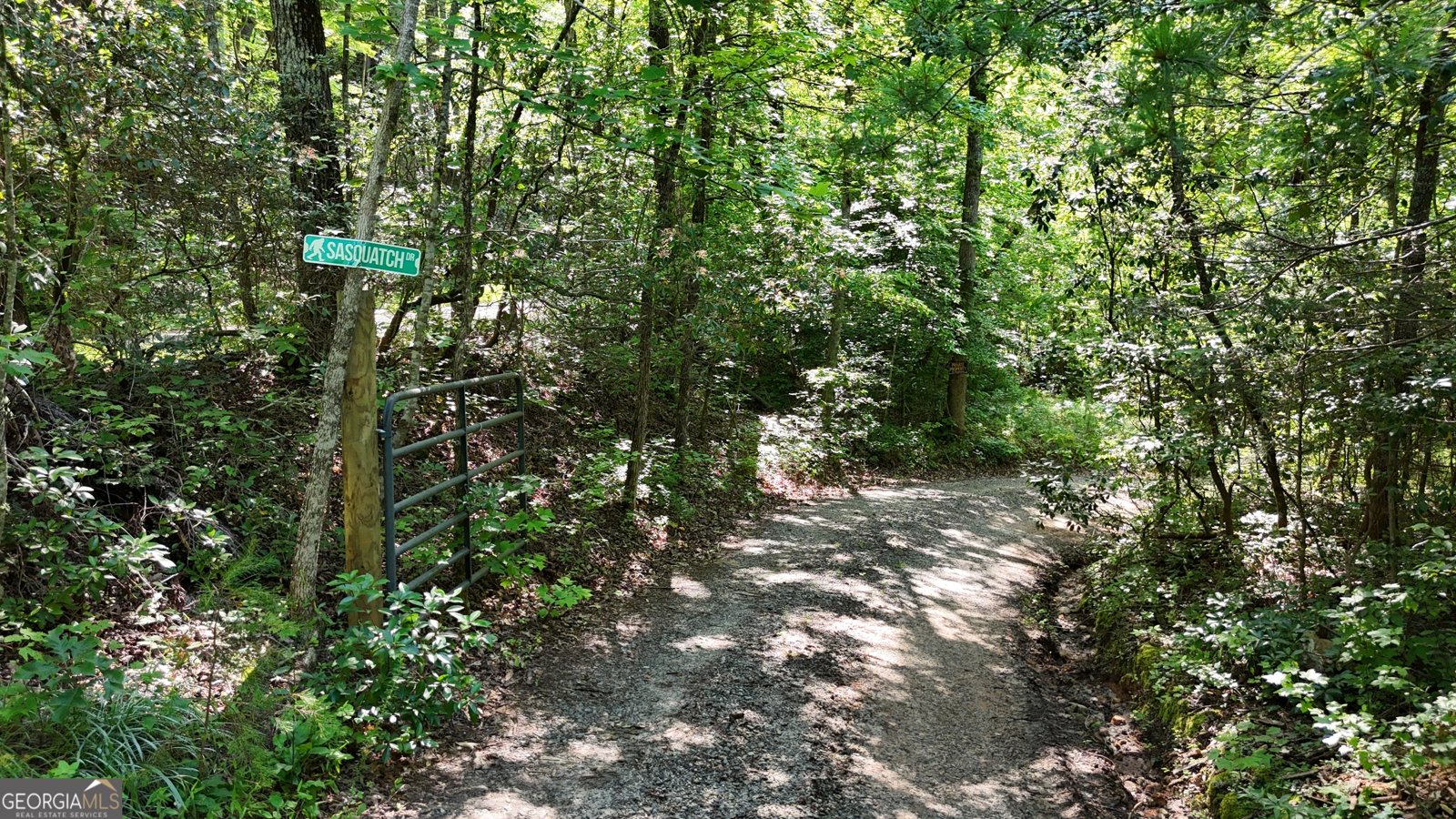 132 Wild Horse Cove Circle Cleveland - 65