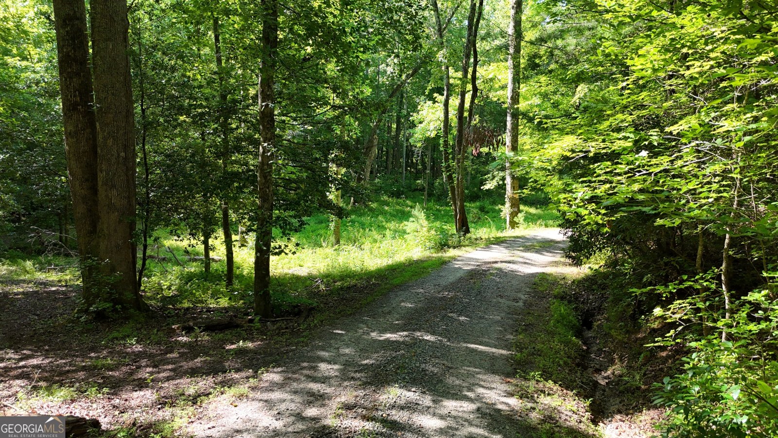 132 Wild Horse Cove Circle Cleveland - 66