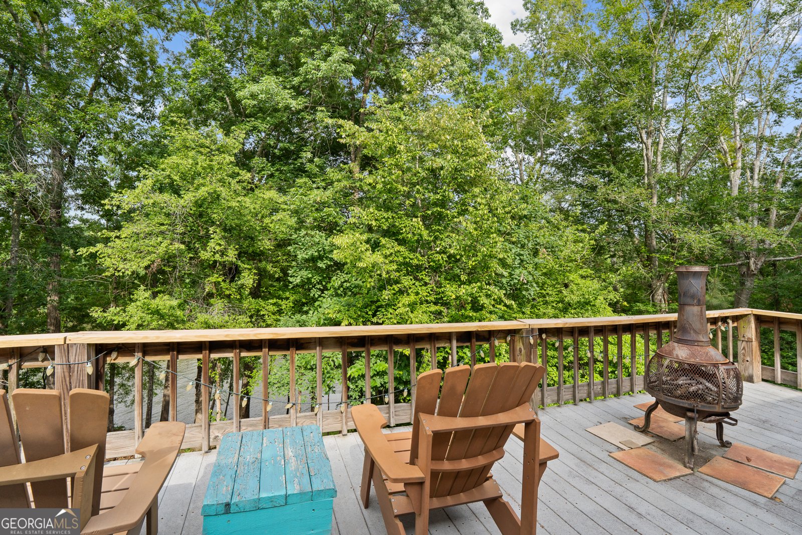 736 Susan Davis Road Sparta - 12