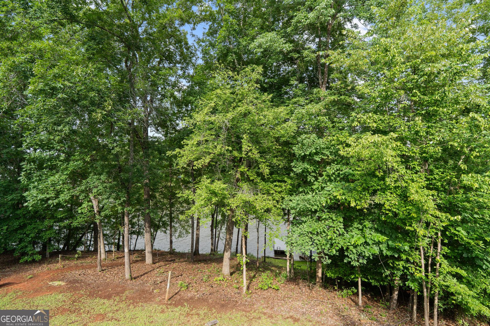 736 Susan Davis Road Sparta - 14