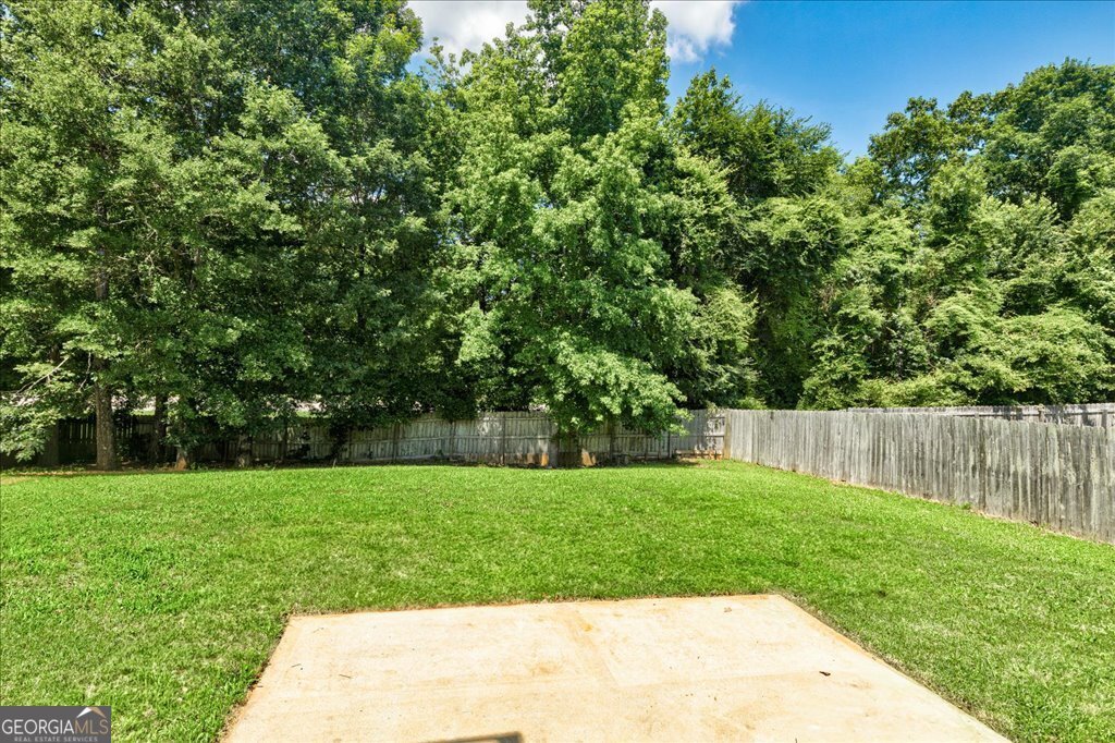 1553 Queen Elizabeth Drive Locust Grove - 33