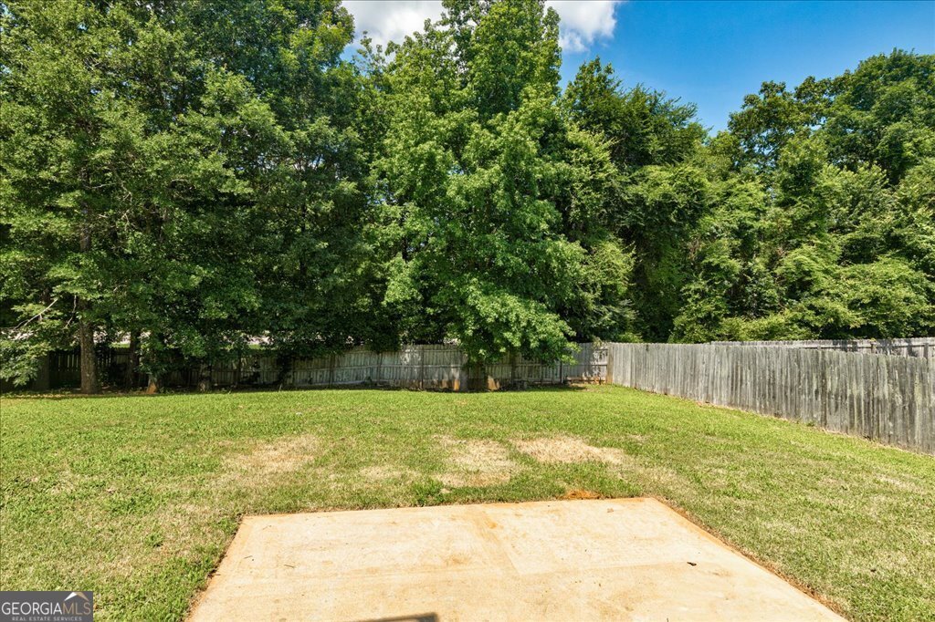 1553 Queen Elizabeth Drive Locust Grove - 34