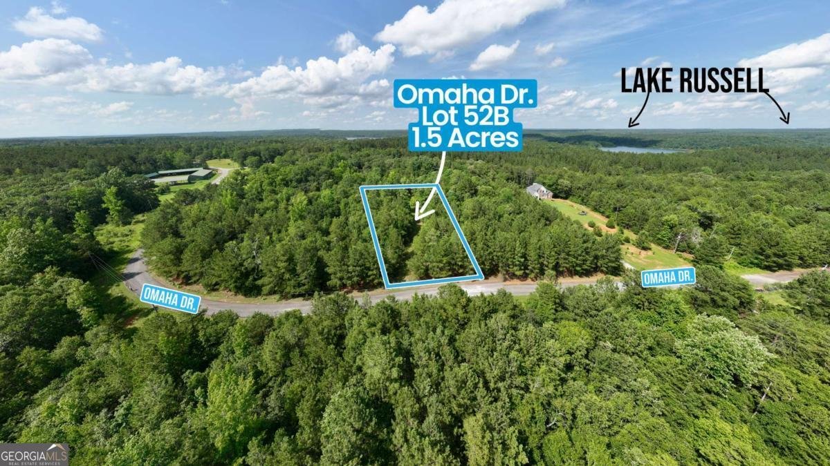 52B OMAHA Drive Elberton - 21