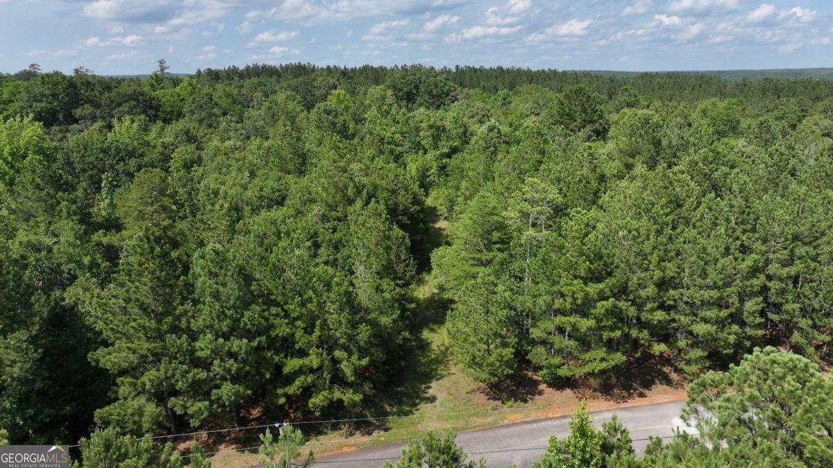 52B OMAHA Drive Elberton - 4