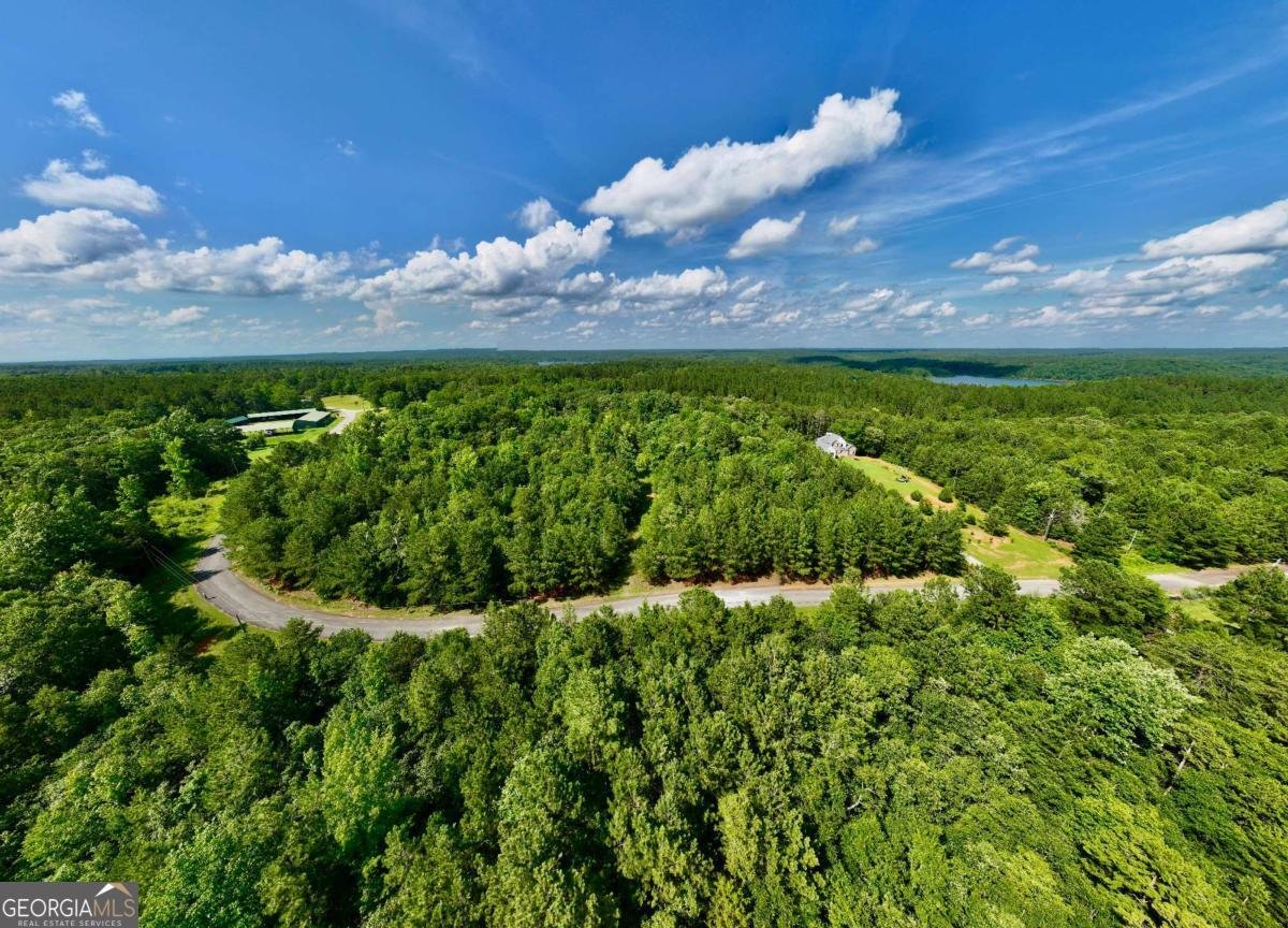 52B OMAHA Drive Elberton - 6